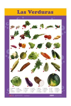 Poster decorativo LAS VERDURAS Y LEGUMBRES